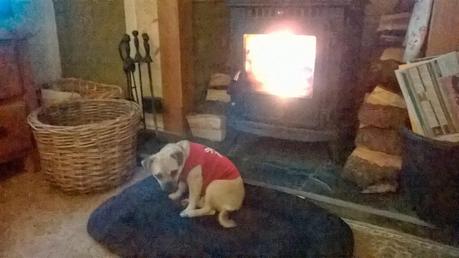 Charley and the Roof