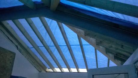 Charley and the Roof