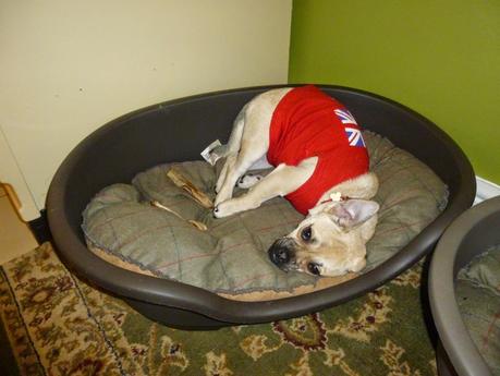 Charley and the Roof