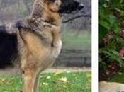 Guess Which Wins Spaghetti-eating Contest!