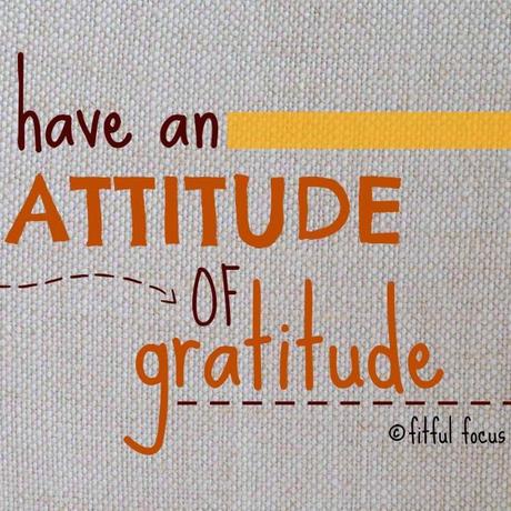 Have an attitude of gratitude via Fitful Focus #thanks #gratitude #quotes