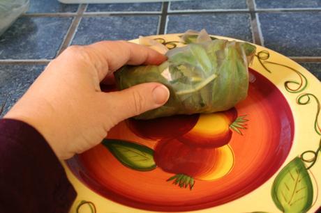 Guest Blogger: Create Mindfully – Tofu Spring Rolls with Peanut Dipping Sauce IMG_3790