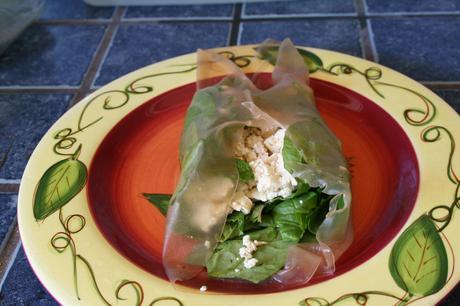 Guest Blogger: Create Mindfully – Tofu Spring Rolls with Peanut Dipping Sauce IMG_3787