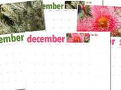 Calendars December Advent Variety