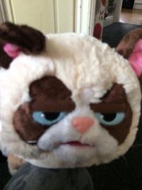 Tales of the “Grumpy cat” and my “Surprise Gift” from Firebox
