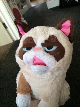 Tales of the “Grumpy cat” and my “Surprise Gift” from Firebox