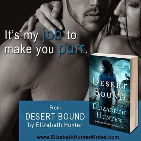 DESERT BOUND BY ELIZABETH HUNTER-  A BOOK REVIEW