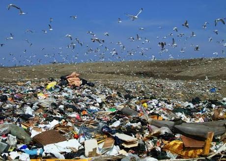 Landfill environmental concern