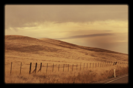 Corey drive fence