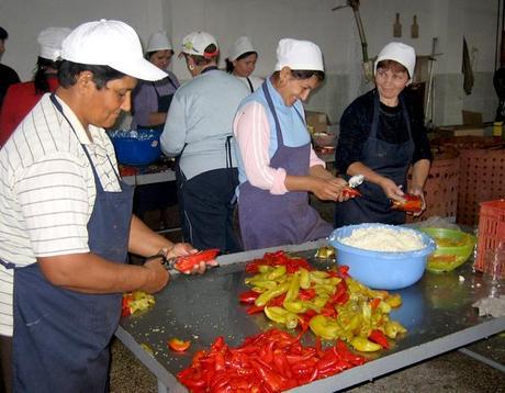 Stuffing Peppers in Albania