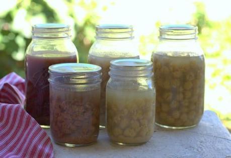 How to Can Dried Beans.  The route to self sufficiency. | thecookspyjamas.com