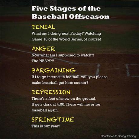 5 stages baseball offseason