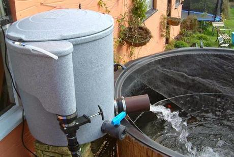 Building Ponds - Again Building Ponds - Again