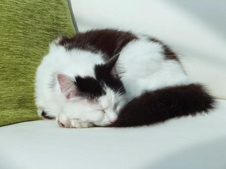 Building Ponds - Again