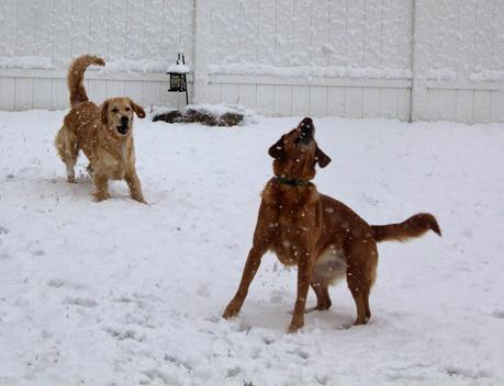 First Snowfall of the Season