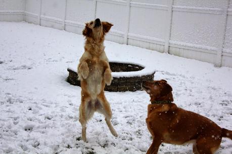 First Snowfall of the Season