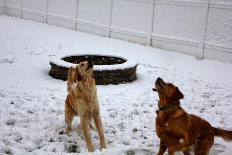 First Snowfall of the Season