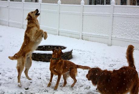 First Snowfall of the Season