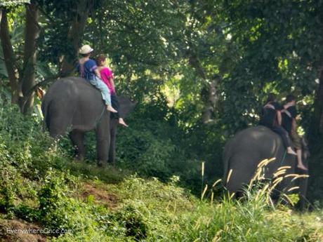 Elephant Trekking