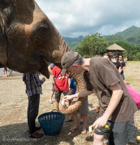 An Ethical Elephant Encounter in Thailand