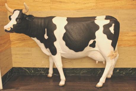 {GBF Travel | Stay With Me}