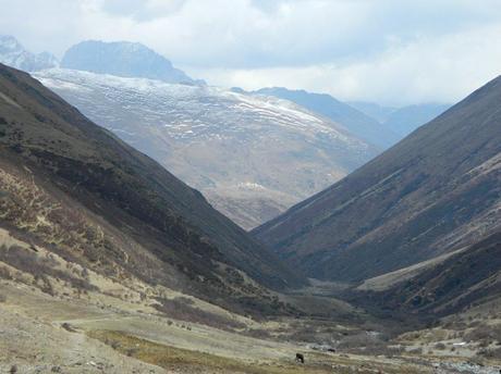 Lingshi Dzong from Mo Chhu valley.