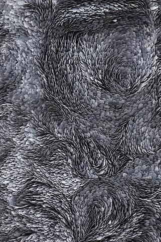 paper arts | paper sculpture