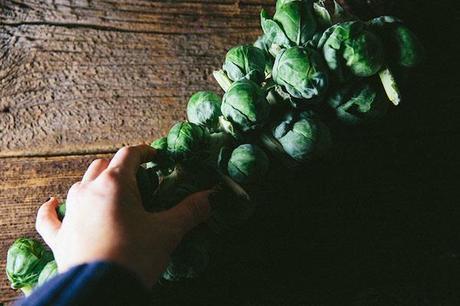 brussels_sprouts_on_the_stalk