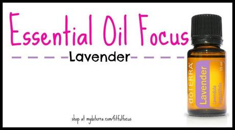 Essential Oil Focus Lavender via Fitful Focus #essentialoil #doterra #lavender #calming #natural