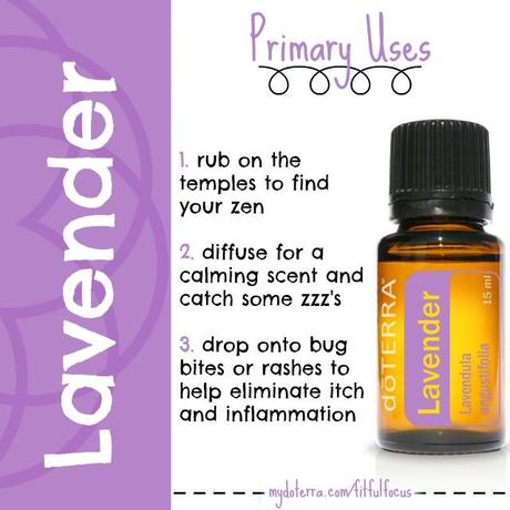 Essential Oil Focus Lavender Primary Uses via Fitful Focus #essentialoil #doterra #lavender #calming #natural