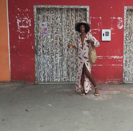 Solange & Husband Spend Honeymoon In Brazil