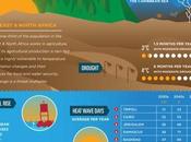 Climate Change Economy