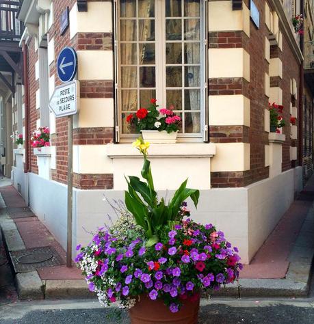 TROUVILLE WINDOWBOX-13