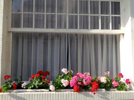 TROUVILLE WINDOWBOX-9