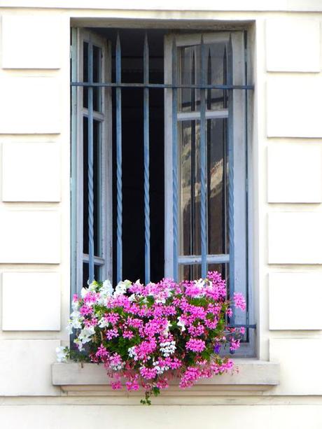 TROUVILLE WINDOWBOX-4