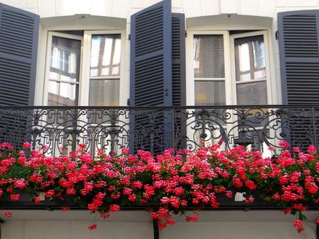 TROUVILLE WINDOWBOX-10