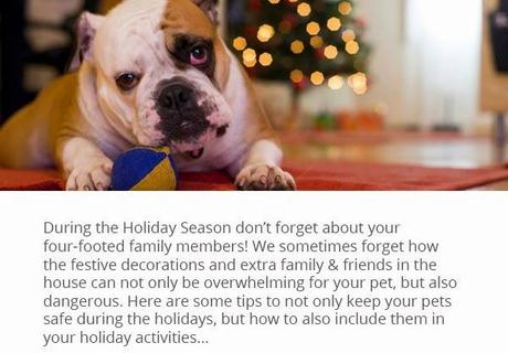 7 Tips from Petbrosia to Keep Your Pets Safe and Happy for the Holidays