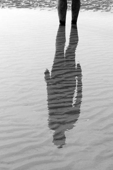 The Best Day of 2014 The Best Day of 2014