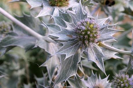 The Best Day of 2014