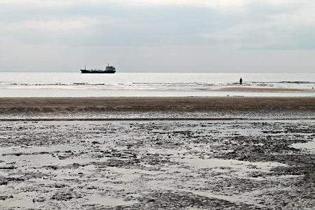 The Best Day of 2014 The Best Day of 2014