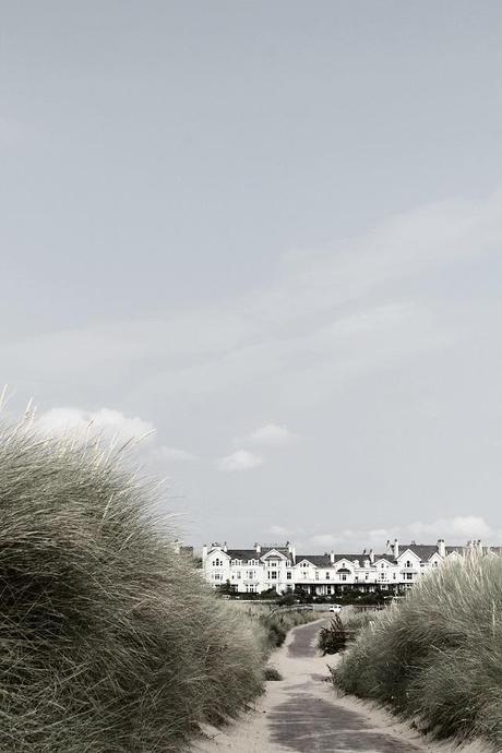 The Best Day of 2014 The Best Day of 2014