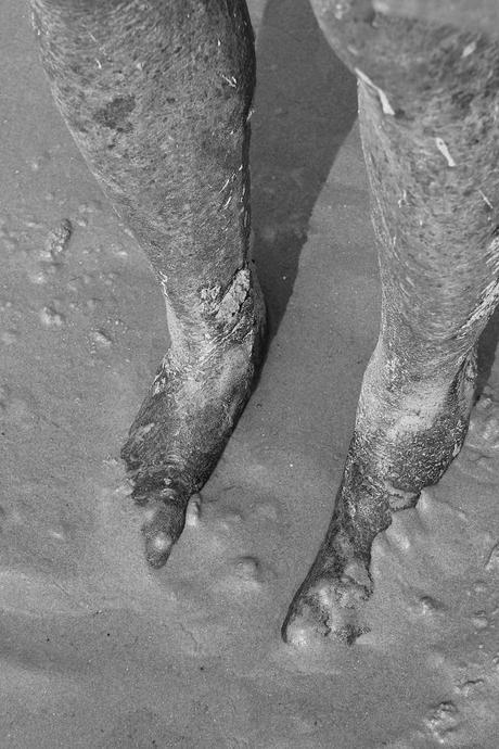 The Best Day of 2014 The Best Day of 2014