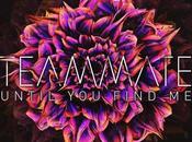 Teammate Knows Make Enticing Indie [stream]