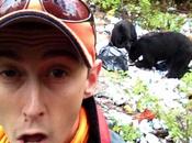 Bear Selfie Foolishness Snapping Near Animals