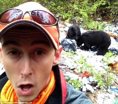 bear selfie - the foolishness of snapping near the animals !!