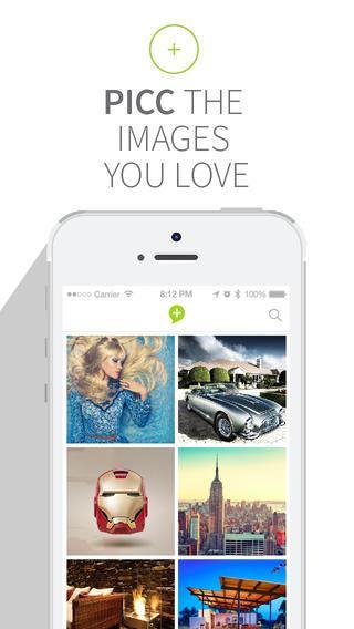 Piccing-Website Review