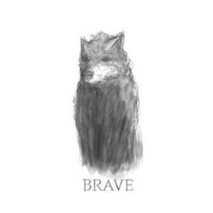 brave-brave_1114