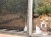 Who’ll Stop Rain, #1104