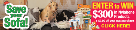 Top 5 Holiday Gifts for Your Dog #HolidayGiftGuide2014