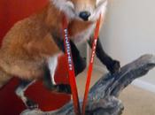 Three Things Thursday